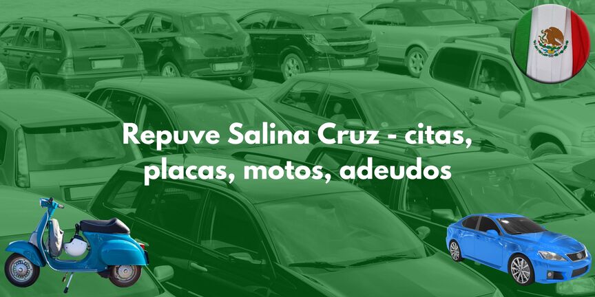 repuve-salina-cruz