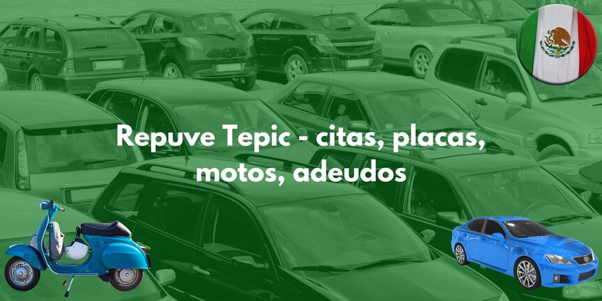repuve-tepic
