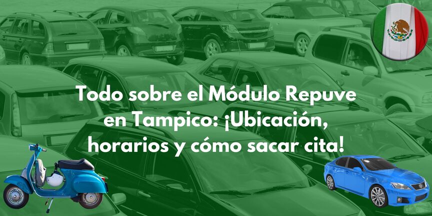 modulo-repuve-tampico